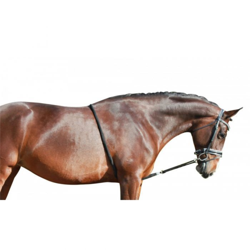 QHP Lunging Rope - Black-1